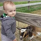 Eugster's Farm Market Fall Festival photo