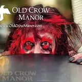 Old Crow Manor photo
