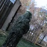 Blackthorn Manor Haunted House photo