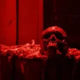 Blackthorn Manor Haunted House photo