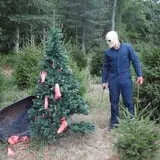 The Conover Killings