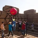 Fifer Orchards Fall Fest & U-Pick Pumpkin Patch photo