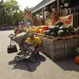 Fifer Orchards Fall Fest & U-Pick Pumpkin Patch photo