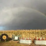 Fifer Orchards Fall Fest & U-Pick Pumpkin Patch photo