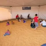Fifer Orchards Fall Fest & U-Pick Pumpkin Patch photo
