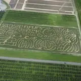 Fifer Orchards Fall Fest & U-Pick Pumpkin Patch photo