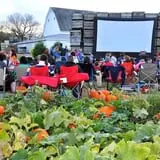Fifer Orchards Fall Fest & U-Pick Pumpkin Patch photo