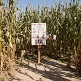 Fifer Orchards Fall Fest & U-Pick Pumpkin Patch photo