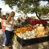 Fifer Orchards Fall Fest & U-Pick Pumpkin Patch photo