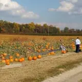 Fifer Orchards Fall Fest & U-Pick Pumpkin Patch photo