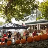 Fifer Orchards Fall Fest & U-Pick Pumpkin Patch photo