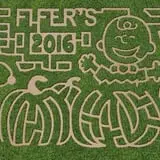 Fifer Orchards Fall Fest & U-Pick Pumpkin Patch photo