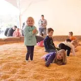 Fifer Orchards Fall Fest & U-Pick Pumpkin Patch photo