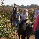 Fifer Orchards Fall Fest & U-Pick Pumpkin Patch photo