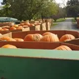 Fifer Orchards Fall Fest & U-Pick Pumpkin Patch photo