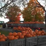 Fifer Orchards Fall Fest & U-Pick Pumpkin Patch photo