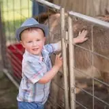 Fifer Orchards Fall Fest & U-Pick Pumpkin Patch photo