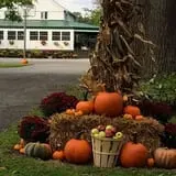 Fifer Orchards Fall Fest & U-Pick Pumpkin Patch photo