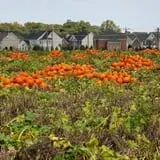 Fifer Orchards Fall Fest & U-Pick Pumpkin Patch photo