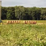 Fifer Orchards Fall Fest & U-Pick Pumpkin Patch photo