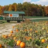 Fifer Orchards Fall Fest & U-Pick Pumpkin Patch photo