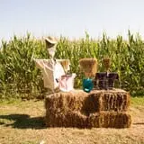 Fifer Orchards Fall Fest & U-Pick Pumpkin Patch photo