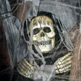 Hickory Grove Haunted Trail