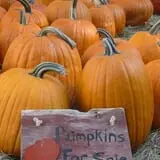 Deardorff Orchards and Vineyards photo