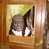 Trail of Terror and Haunted Barn photo
