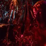 HellsGate Haunted House photo