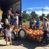 New Song On Old Perkins Road Pumpkin Patch photo