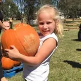 New Song On Old Perkins Road Pumpkin Patch photo