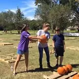 New Song On Old Perkins Road Pumpkin Patch photo