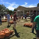 New Song On Old Perkins Road Pumpkin Patch photo