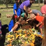 New Song On Old Perkins Road Pumpkin Patch photo