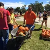 New Song On Old Perkins Road Pumpkin Patch photo