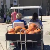 New Song On Old Perkins Road Pumpkin Patch photo