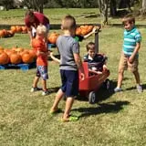 New Song On Old Perkins Road Pumpkin Patch photo
