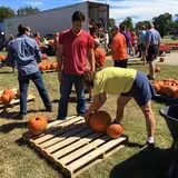 New Song On Old Perkins Road Pumpkin Patch photo