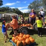 New Song On Old Perkins Road Pumpkin Patch photo