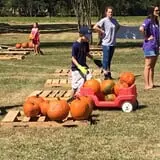 New Song On Old Perkins Road Pumpkin Patch photo