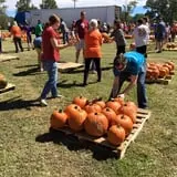 New Song On Old Perkins Road Pumpkin Patch photo