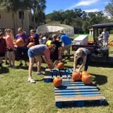 New Song On Old Perkins Road Pumpkin Patch photo