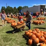 New Song On Old Perkins Road Pumpkin Patch photo
