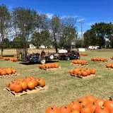 New Song On Old Perkins Road Pumpkin Patch photo