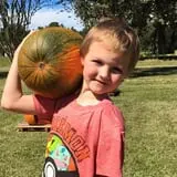 New Song On Old Perkins Road Pumpkin Patch photo