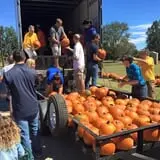 New Song On Old Perkins Road Pumpkin Patch photo