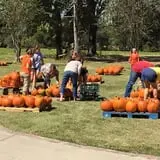 New Song On Old Perkins Road Pumpkin Patch photo