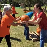 New Song On Old Perkins Road Pumpkin Patch photo