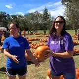 New Song On Old Perkins Road Pumpkin Patch photo